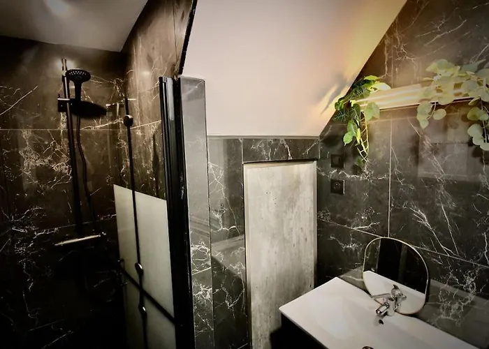 Le Gustave - Sauna, Jacuzzi & Terrasse A Rouen